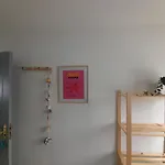Casa De Amigos Picaraña